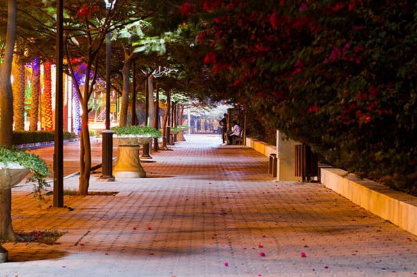  عکس کیش واقعی