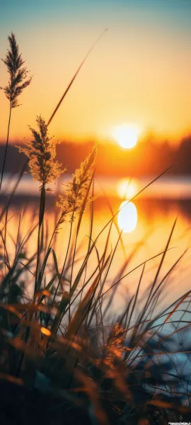 عکس طلوع افتاب زیبا