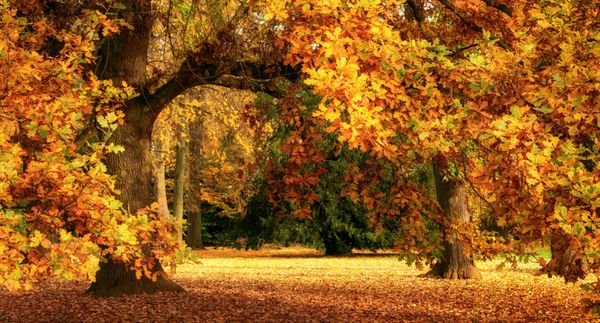  عکس طلوع پاییزی