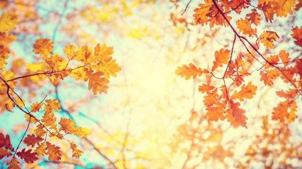  عکس طلوع پاییزی