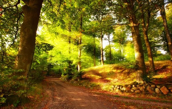  عکس طلوع پاییزی