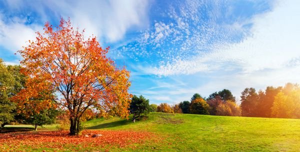  عکس طلوع پاییزی