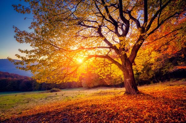  عکس طلوع پاییزی