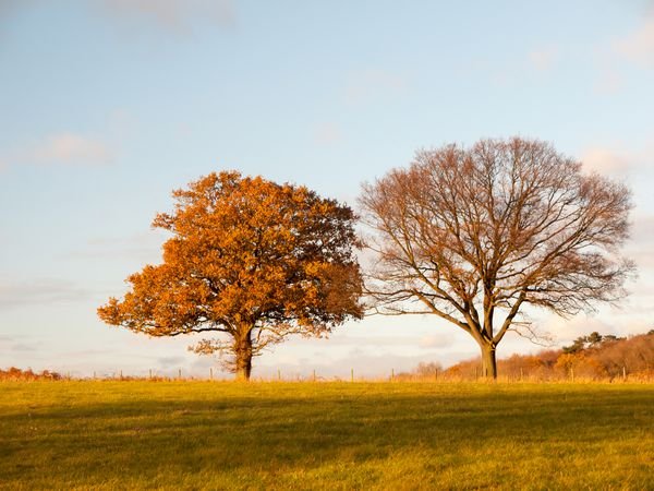  عکس طلوع پاییزی