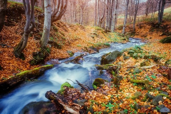  عکس طلوع پاییزی