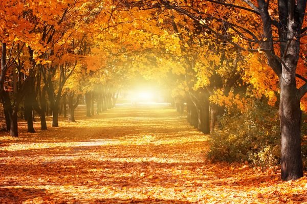  عکس طلوع پاییزی