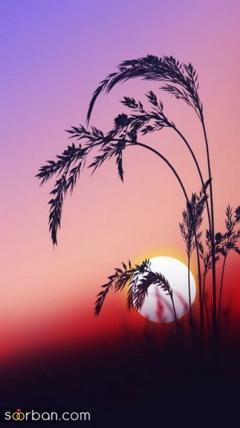 118 عکس غروب زیبا برای پروفایل