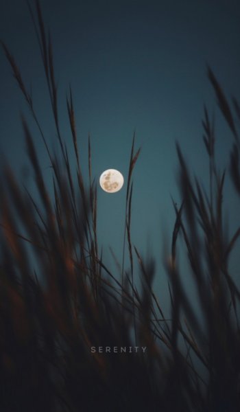  عکس ماه شب