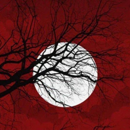  عکس ماه شب