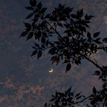  عکس ماه شب