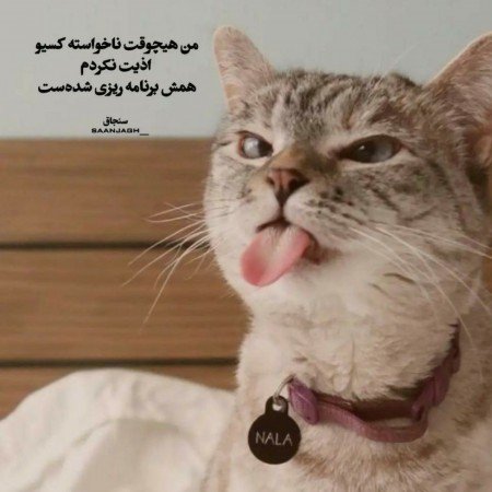  عکس نوشته ترکی