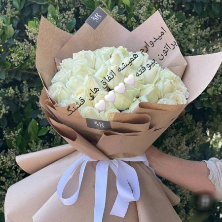  عکس رز سفید