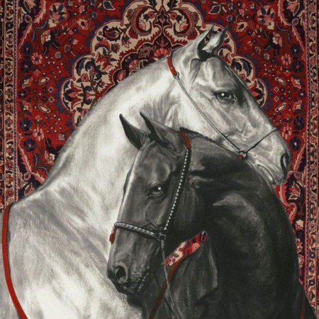 عکس اسب