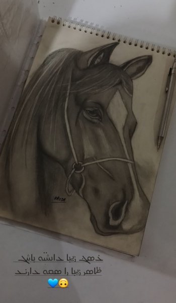  عکس اسب