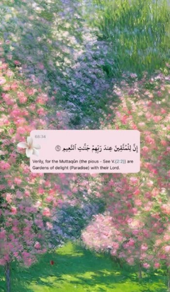  عکس قرآن