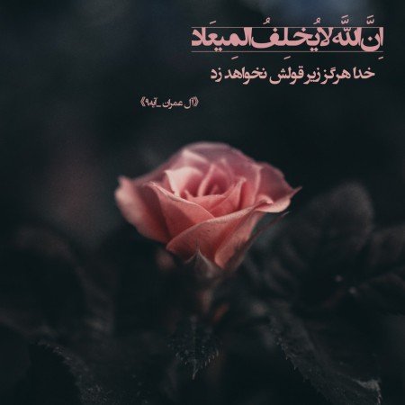  عکس قرآن
