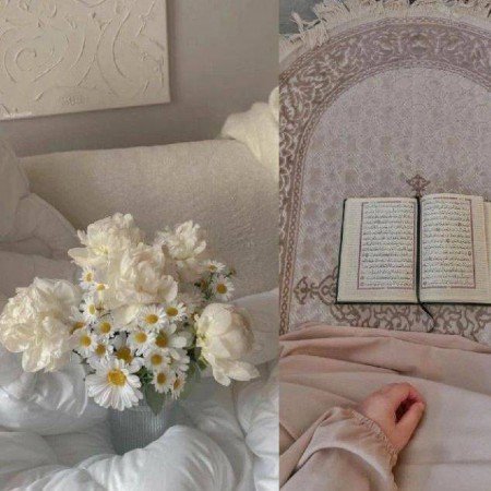  عکس قرآن