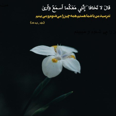  عکس قرآن