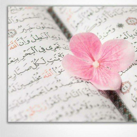  عکس قرآن