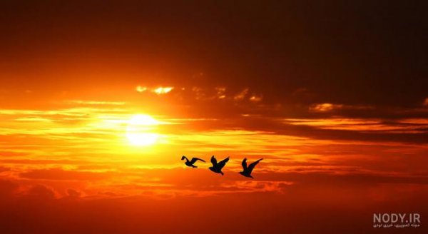  عکس طلوع صبح تهران