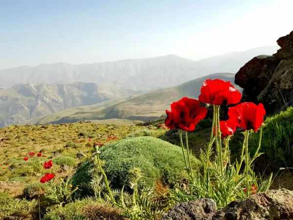  عکس کوه دماوند از نزدیک