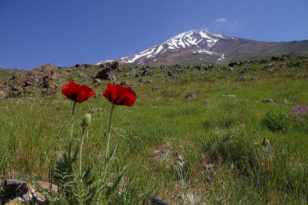 عکس کوه دماوند از نزدیک