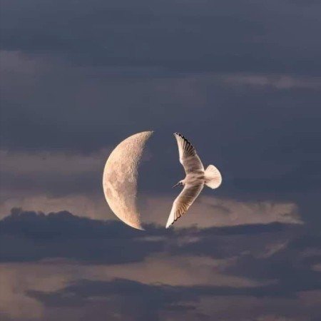 عکس زن در طبیعت شمال