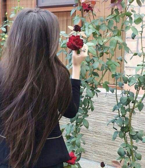  عکس دختر از پشت سر با موهای باز برای پروفایل