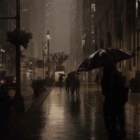  عکس سیاه سفید شاخ اینستا