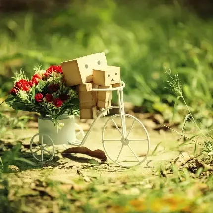  عکس پروفایل سایه دختر و پسر