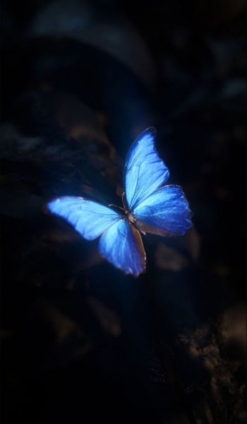  عکس پروفایل آبی ساده