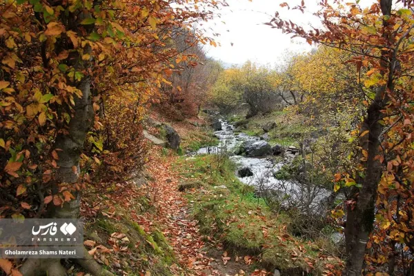  عکس کوه پاییزی