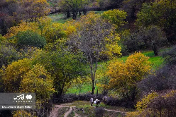  عکس کوه پاییزی