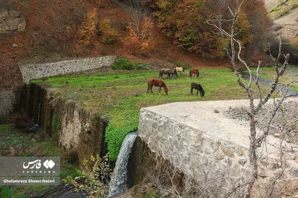  عکس کوه پاییزی