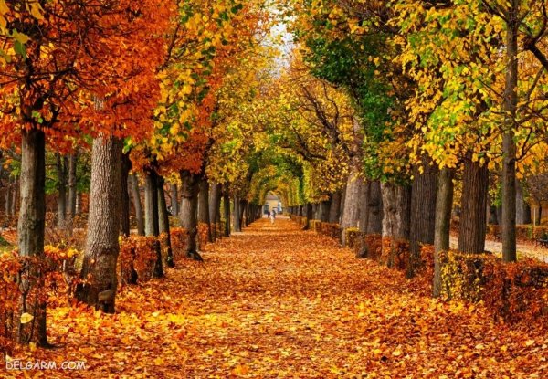  عکس طبیعی از پاییز