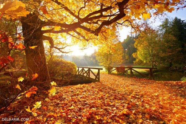  عکس طبیعی از پاییز