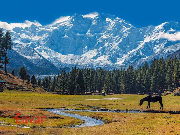  عکس بزرگترین کوه جهان