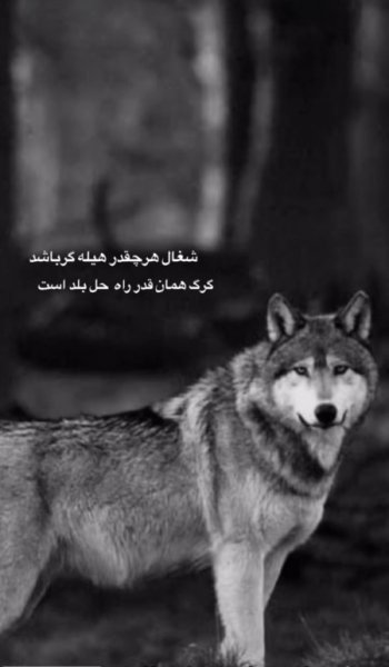  عکس زمینه سیاه