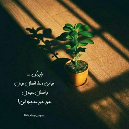  عکس شاد