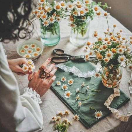 عکس گل بابونه