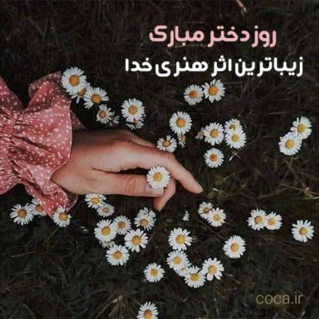 عکس گل بابونه