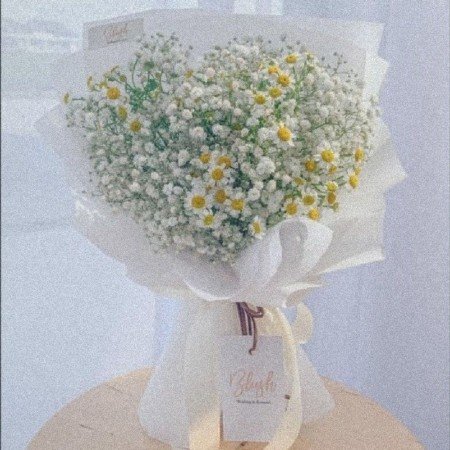 عکس گل بابونه