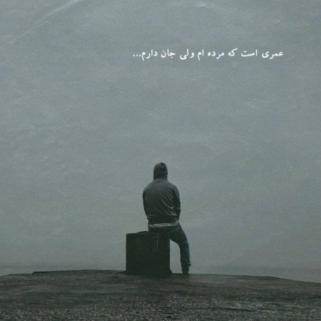  عکس دارک