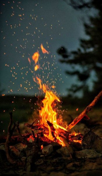  عکس شب بخیر
