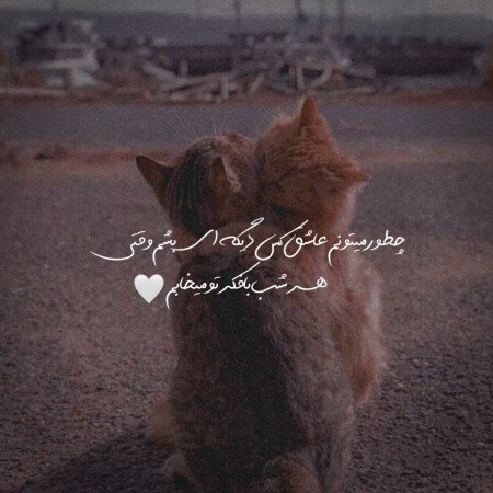  عکس شب بخیر