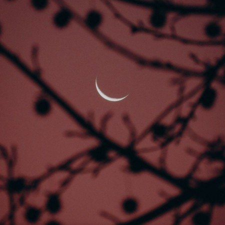  عکس شب بخیر