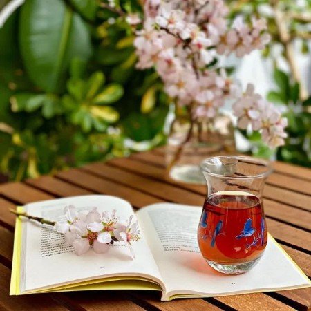  عکس شب بخیر