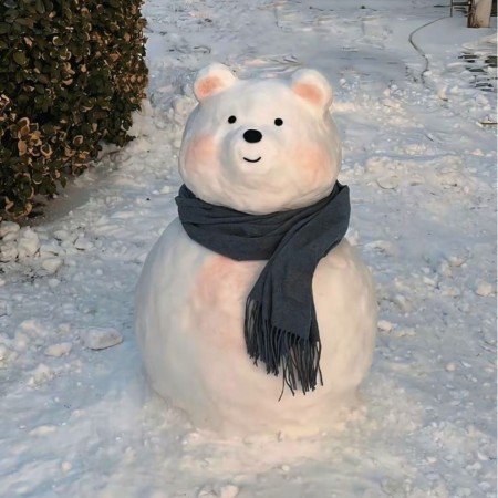  عکس برف