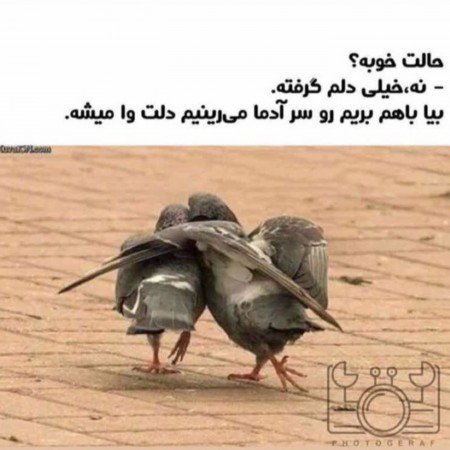  عکس خنده