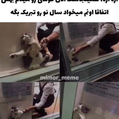  عکس سال نو
